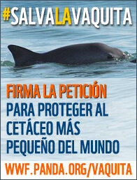 WWF_Mexico tweet picture