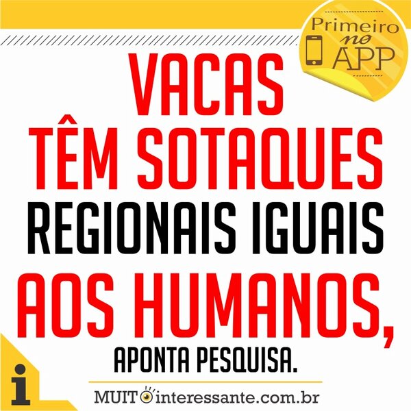 DistecnoMobile's tweet photo. Veja essa e outras curiosidades direto no seu celular. Baixe: http://t.co/NVRzCs1K (Teste).... http://t.co/1Oh1YmSe