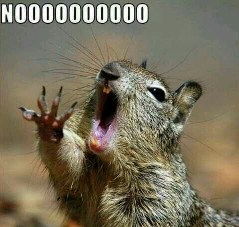 TafadCabreado's tweet photo. A PRIMERA HORA EXAMEN http://t.co/RG3fHSJu