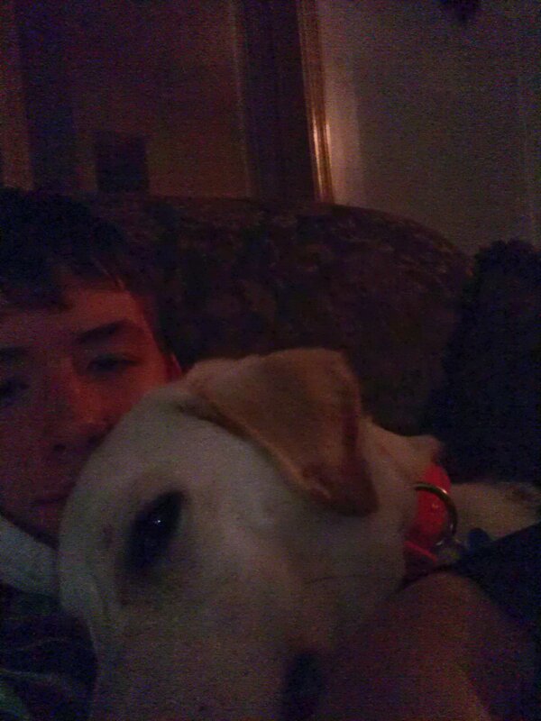 Nmurdoff's tweet image. I&apos;m not sure what i would do if something happened to this asshole! #Let&apos;sBeHonest #HesATool