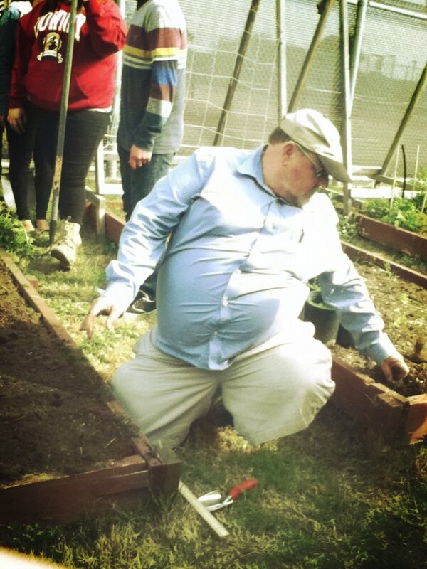 BigDaddyPitt's tweet photo. Solid work in the garden lazy ass niggas makin me do all the work smh #Fuccckkkkkkk #BotanyChillin #StrawberriesYaBish http://t.co/lkm3KkEb