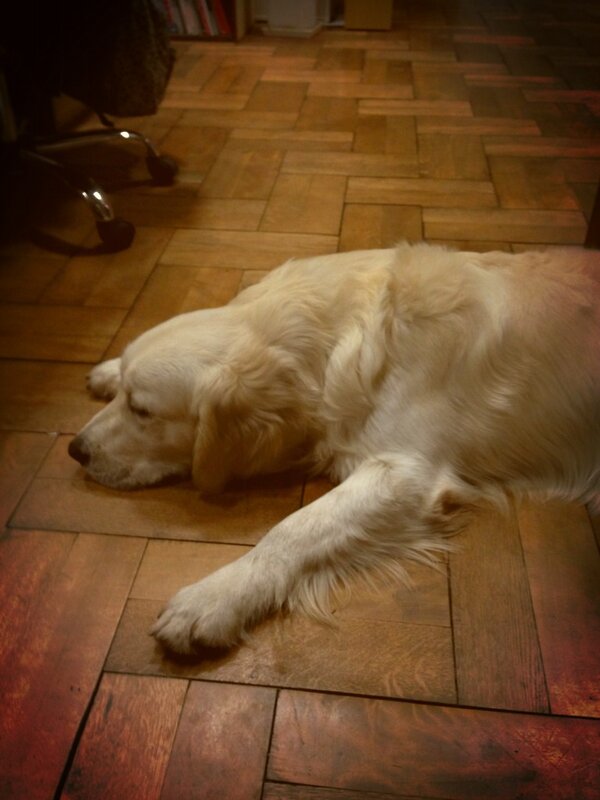 croryo's tweet photo. 仕事でハマった… 騙された気分〜>_< http://t.co/NB5Xf5cD