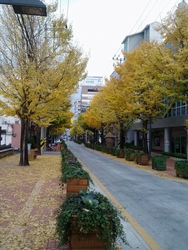 pcja053's tweet photo. 금곡동 문화의거리 http://t.co/QBFVjLj6