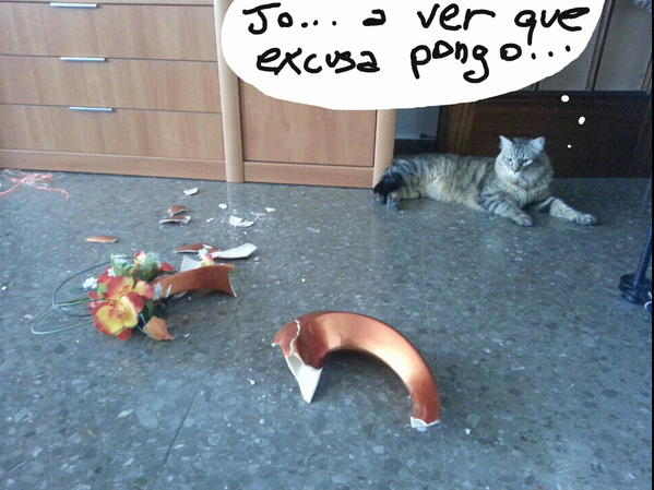 gemmabb's tweet photo. mi gatito después de romper el jarrón... #bichejosarrepentidos http://t.co/aUM7lv5a