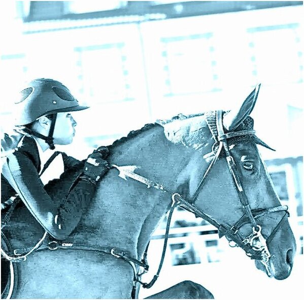 Very happy with the latest FEI world ranking jumping! (from the 411th to the 358th place) We continue to do our best.