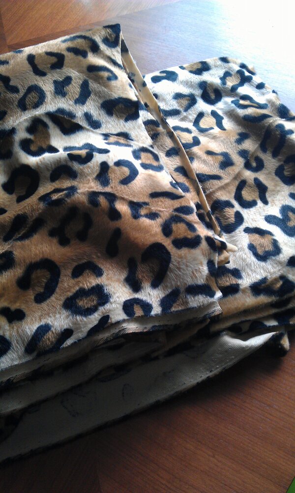 JuanitaVanBon's tweet image. Zou t nog lukken voor Carnaval, 1 Wilma, 2 Pebbles? #3meter