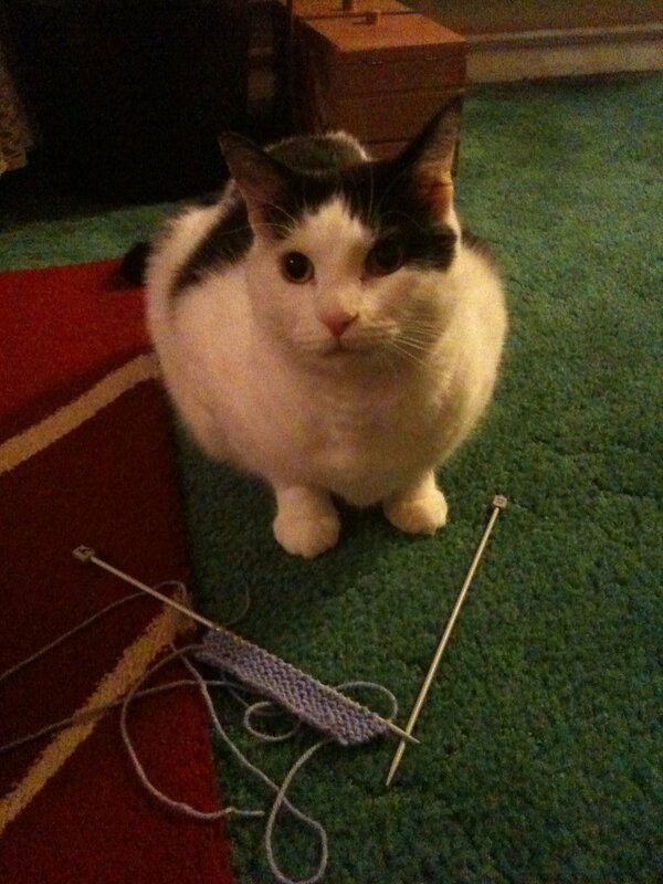 Mr Stitch tweet media