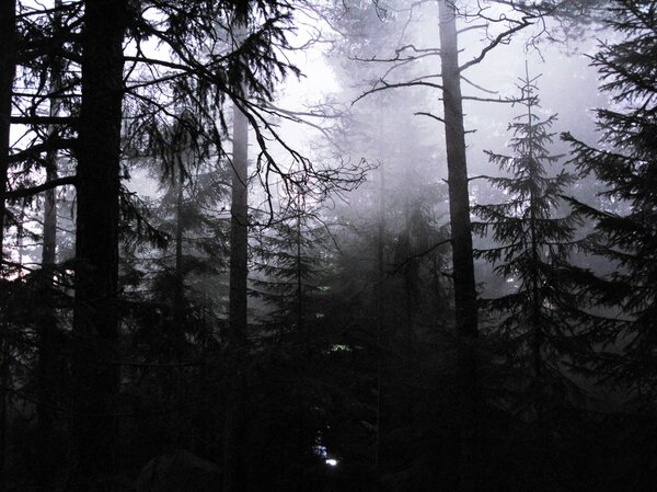 In_Between_Time's tweet photo. 5: Step out of the ordinary and into the woods, with Night Tripper from Fiksdal Langgård &amp; Becker http://t.co/3kF3Rno0 http://t.co/6mZJplX3