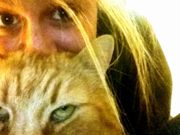 shelia eddy tweet media