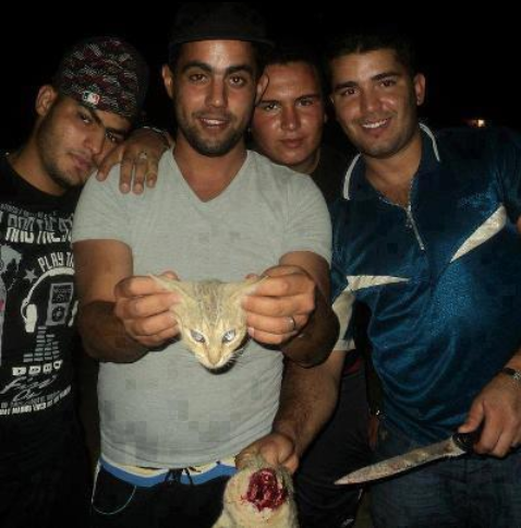 versoshits's tweet photo. Por favor,pido un RT para intentar encontrar en Twitter a éstos hijos de PUTA.Ayudadme a que ésta foto llegue a todos http://t.co/s4TUsWAx