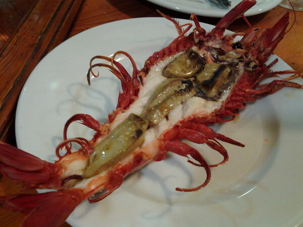 Y ahora que hacemos?