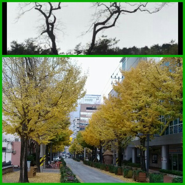 pcja053's tweet photo. 금곡동 문화의거리 http://t.co/lK4Lr7Yv