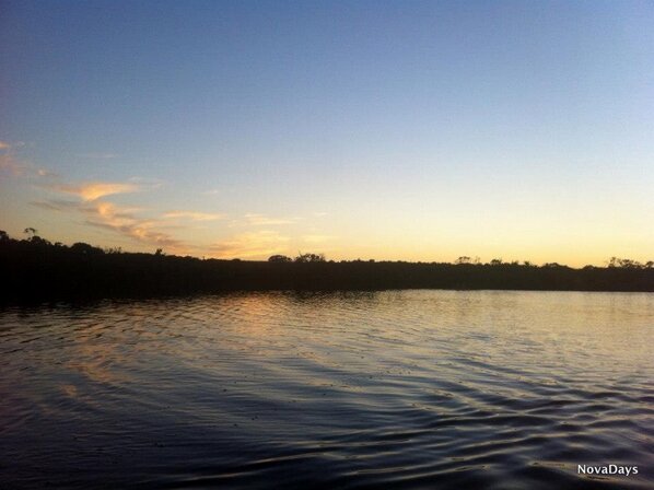 Nova Days tweet media