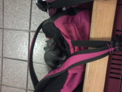 Madd_Dog5's tweet image. Thank you for scaring the living shit outta @k_huds @24karissa and me #not #looksreal