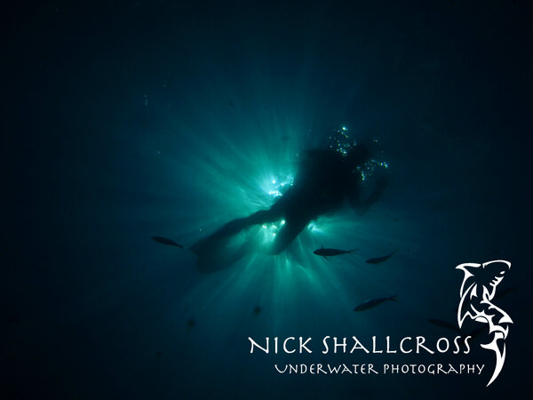 NickShallcross's tweet photo. Diver Silhouette
#scuba #underwater #photography #doyouinspire #fridayfotos #photo #nature http://t.co/4A2uzXbz