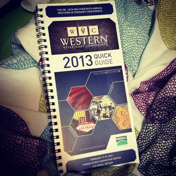 Only 10 more days! 
AAAHHHHH so excited!! 
Vegas here I come!! 
#WesternVeterinaryConference