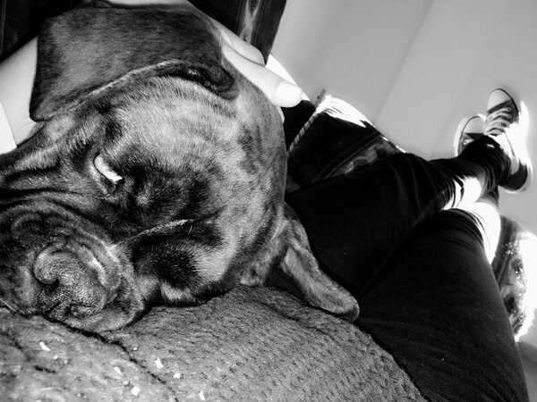 Raquelcstr's tweet photo. Con mi compi de siesta:-) http://t.co/Xx9iYuy6