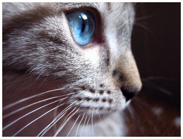 stormtail's tweet image. New profile pic