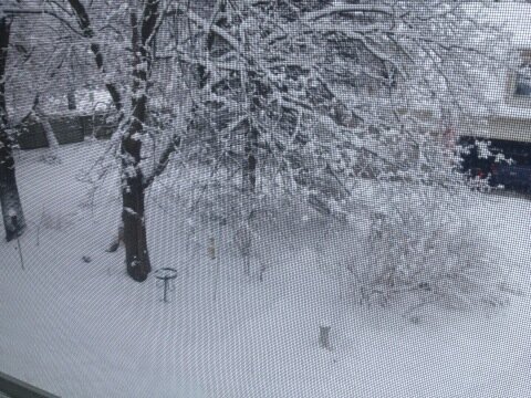 KimAndEllory's tweet image. Looking out our office window. Time to break out the snow-blower!