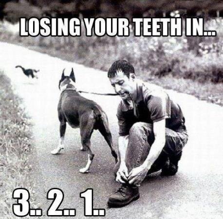KrautLaserVomit's tweet photo. True. Toofless. http://t.co/BH5zJHpr