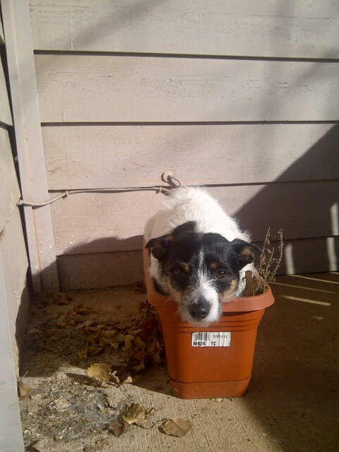 Tyler_T_Dog's tweet photo. BOL! http://t.co/myxRxYPw