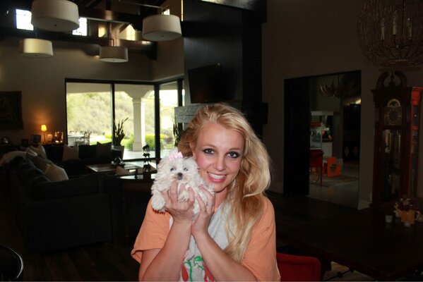 TheBritneyArmy's tweet photo. Good Morning! She looks so pretty in my pink bow! :) RT @britneyspears Say good morning to my new baby people http://t.co/Q6xR9EgT