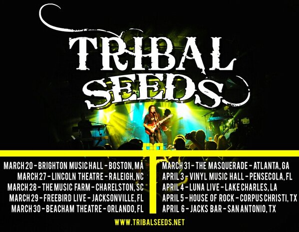 Tribal Seeds tweet media