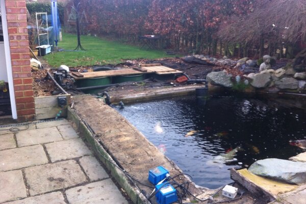 The_Fish_Doctor's tweet image. From this...