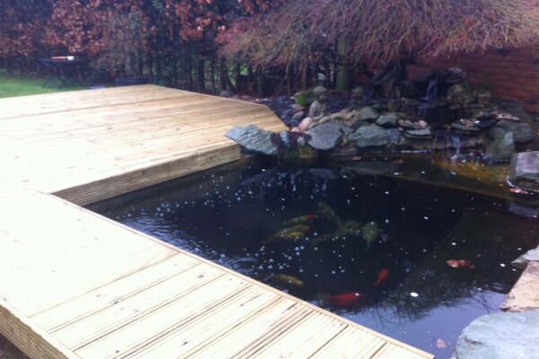 The_Fish_Doctor's tweet image. To this!