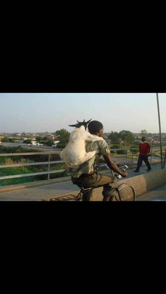 dellderek88's tweet image. @poolwaydave @andyc_avfc @nigelcarpenter1 @gaz9876 Dickhead. I got a picture of you giving me a backy #goatfun