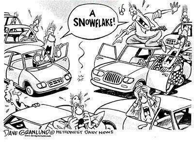 jardinecaj's tweet photo. @CKCescon this is what happens here when it snows. #cantcope http://t.co/1ocPsPCD