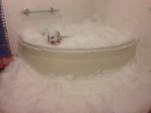 capstankid's tweet photo. Ooops #creampie http://t.co/vSNrY7NQ