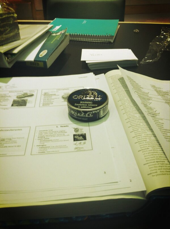 PLAKE0's tweet image. My life this weekend. #TwoTests