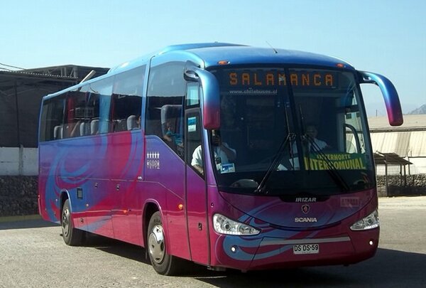 Buses Chile tweet media