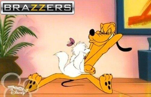 Funny Brazzers Pics tweet media