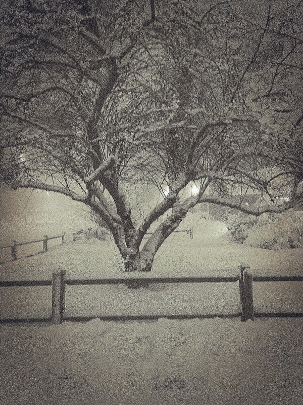 ferhadija's tweet photo. http://t.co/wrestWM