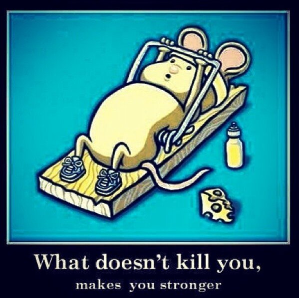 FactsofFitness tweet picture