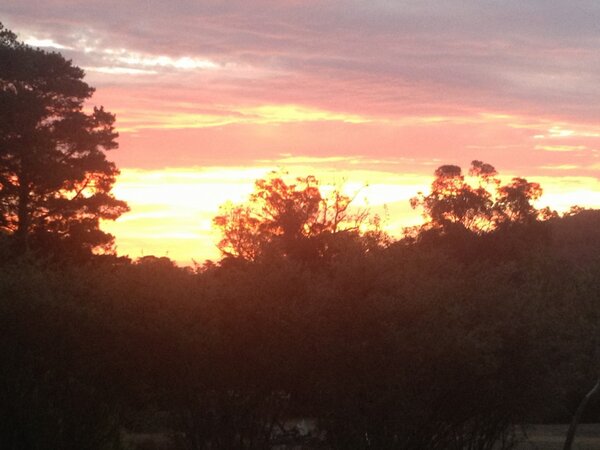 “<a href="/BicknellFC/">David Bicknell (bicknellfc at blue sky)</a>: Breathtaking sunset tonight in the Yarra. Ping <a href="/YarraLoch/">YarraLoch Wines</a> ” looks like our label...