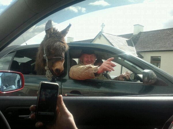 ThatsPureIrish's tweet photo. Does my ass look big in this .. #OnlyInIreland http://t.co/FfBXkY2G