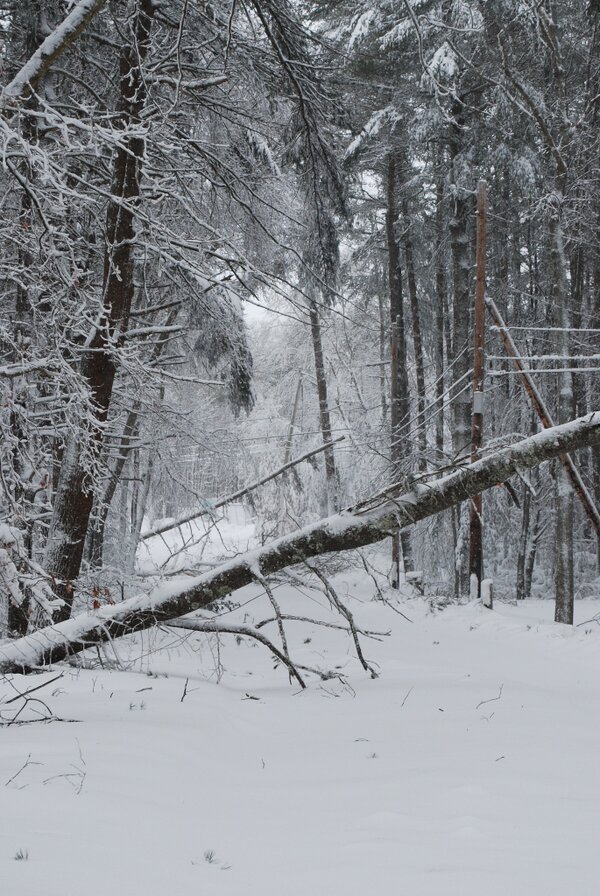 SharonHousley's tweet photo. Road impassable both directions. #blizzard #blizzard2013 http://t.co/OaZiprus