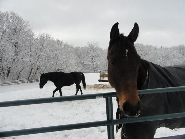 theAlliBeeeee's tweet image. My beautiful neighborhood #notafarm