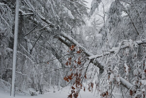 SharonHousley's tweet photo. Road other direction #blizzard #blizzard2013 http://t.co/TXyHujJe