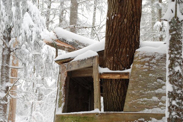 SharonHousley's tweet photo. Poor tree house! #blizzard #blizzard2013 http://t.co/U7aV1ID9
