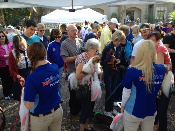 JerrySerafin's tweet photo. Sara and Lindsay our pet trainers from 1325 wowing pet parents at paws in the park in sunny Orlando http://t.co/3EDjS41Q