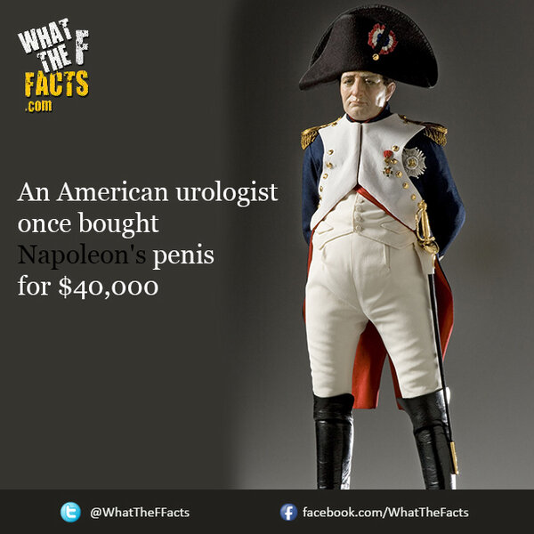 What The F*** Facts tweet media