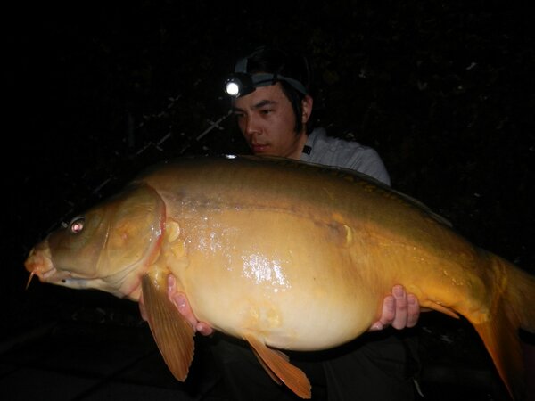 First carp this year. On monday 4am. Better use Pellets