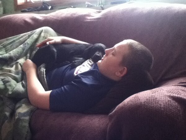 max spitzer tweet media