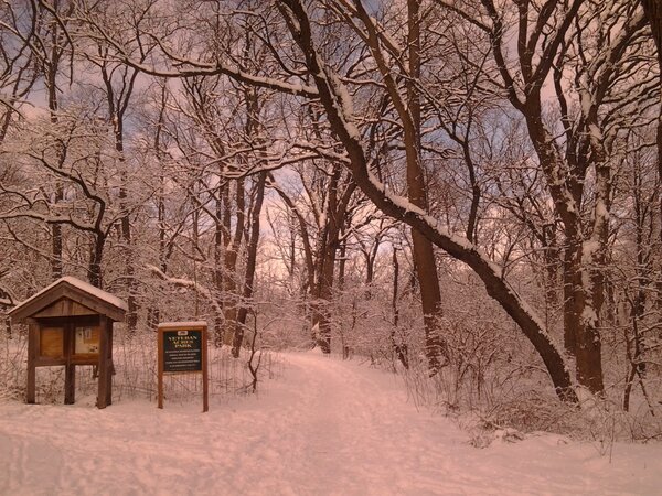 Trail head at Veteran Acres- I love running in the snow!