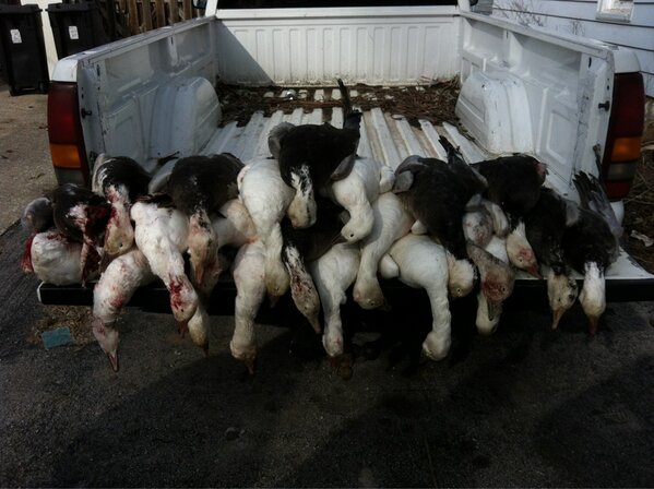 Bradleypeters6's tweet image. #WackNStack with the boys 
Some good ole snows