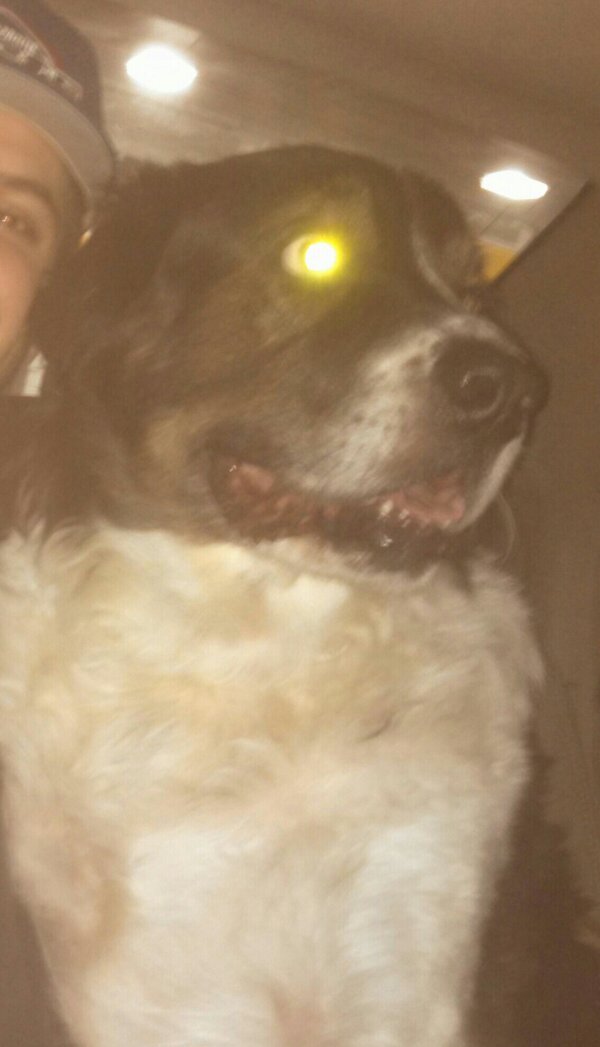 NickNickwiz's tweet image. 